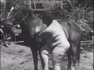 Quyến rũ của Aubrey Kate và phim xx nhat ban Angela Trắng